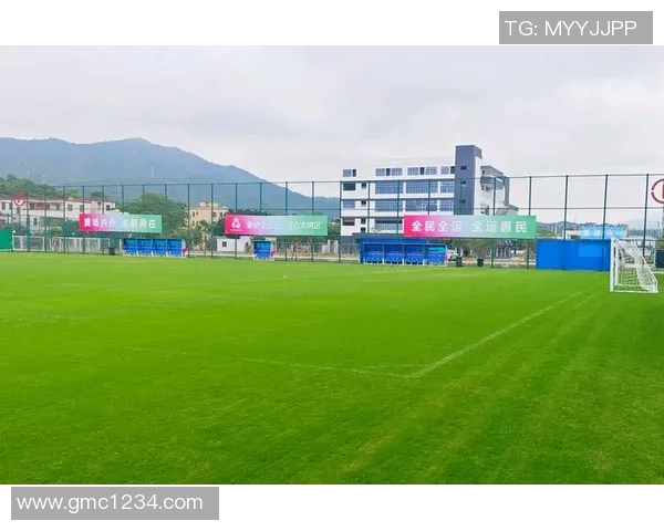 广州足球队技术表现深度分析与数据解读探讨