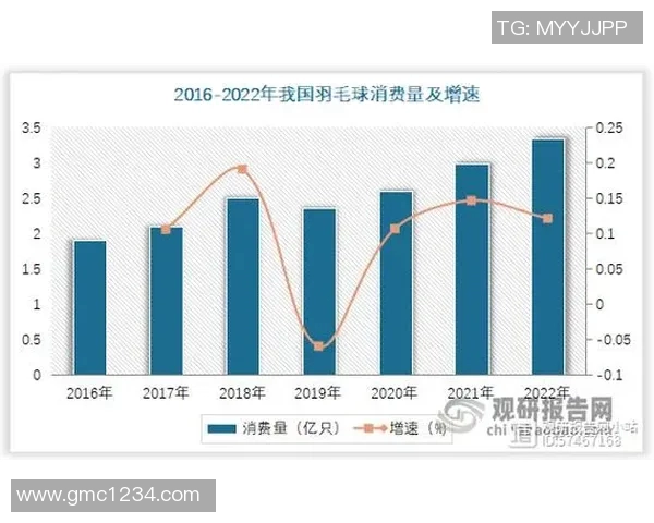西安羽毛球队个人能力深度对比分析与发展潜力探讨